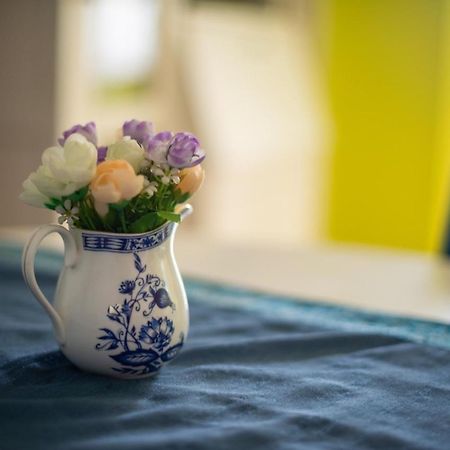 Apartment Dunja 诺威萨 外观 照片